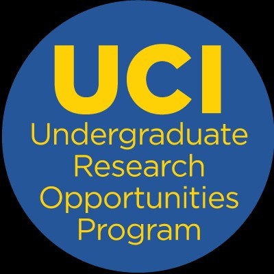 Image of Undergraduate Program