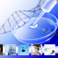 Biotecnologia Transgenicos