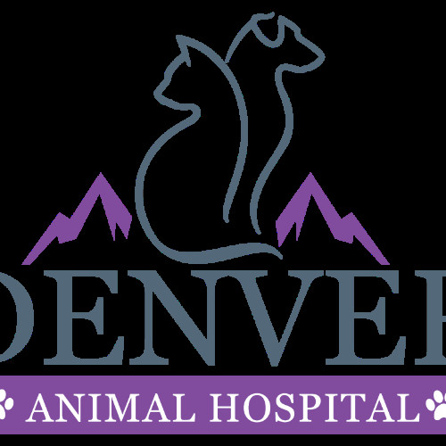 Contact Denver Animalhospital