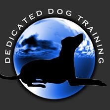 Dedicated Training Email & Phone Number