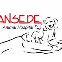 Contact Doctor Ansede