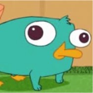 Image of Perry Platypus