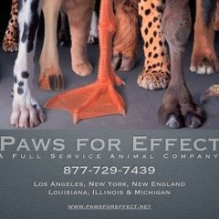 Contact Paws Effect