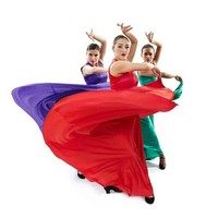 Image of Flamenco Vivo