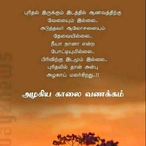 Contact Tamil Ponni