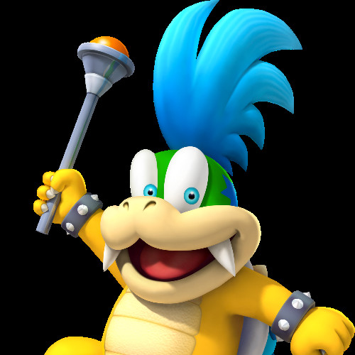 Larry Koopa Email & Phone Number