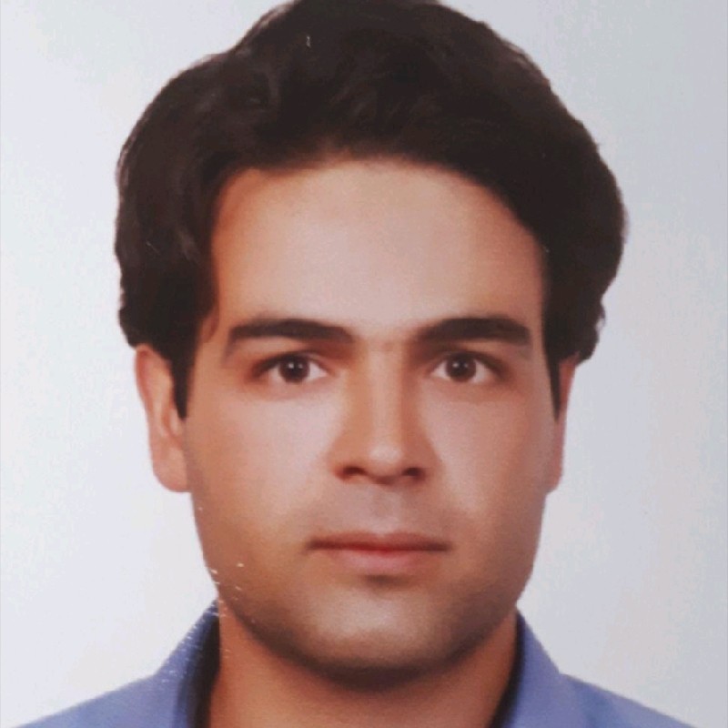 Hamid Karimi