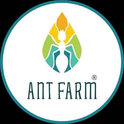 Ant Farm Recruitement