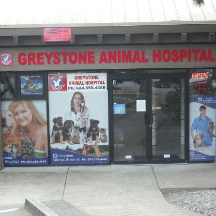 Greystone Animal Hospital