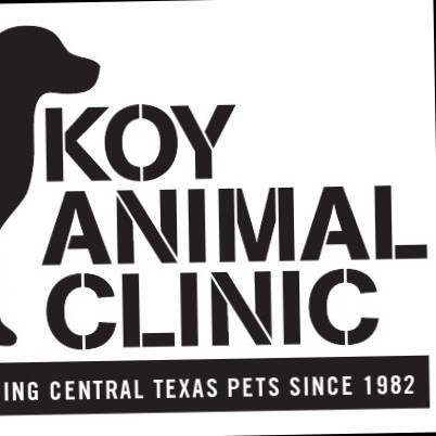 Koy Animal Clinic Veterinarian