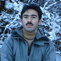 Ali Asghar Hamidzadeh