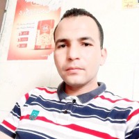 Ahmed Elsaid Amer