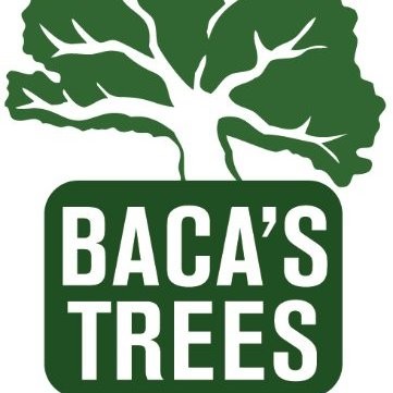 Contact Bacas Trees