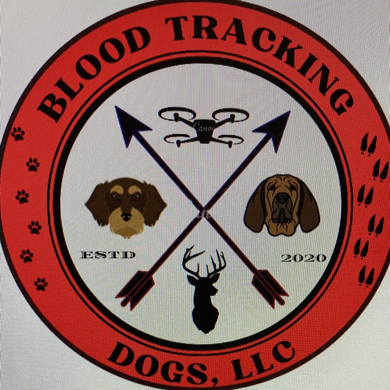 Contact Blood Dogs
