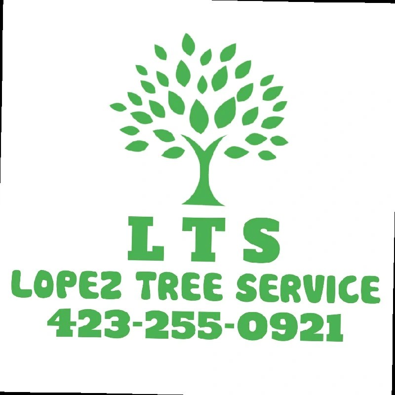 Lopez Tree Service Lawn Service