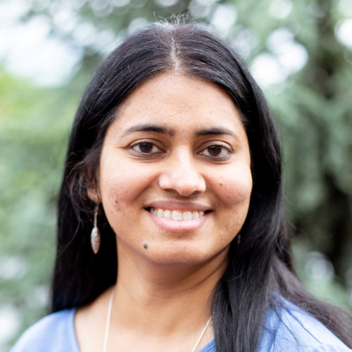 Image of Deepa Narayanan