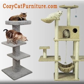 Contact Cozy Furniture