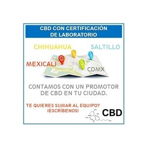 Cbd Oil Canabidiol