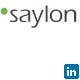 Saylon Consulting Email & Phone Number
