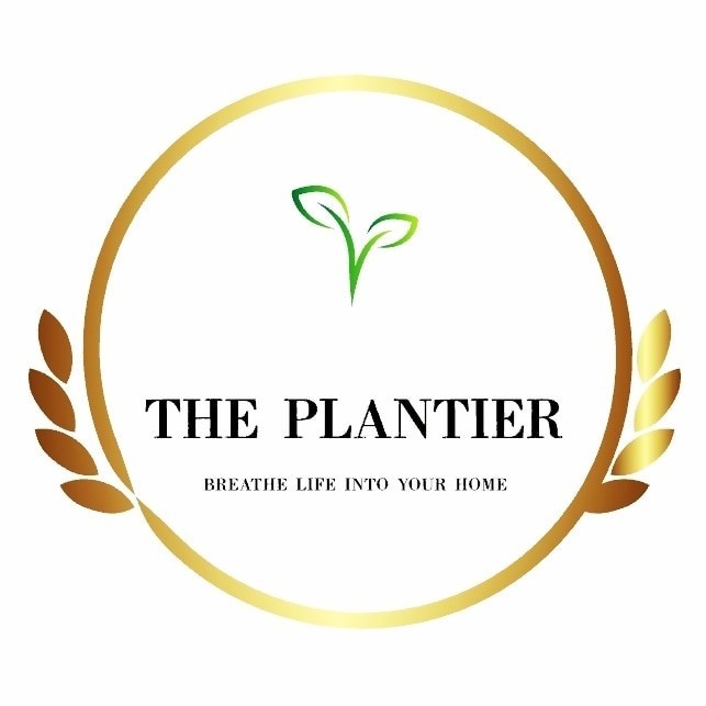Contact Plantier