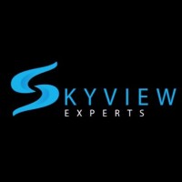 Image of Skyview Experts