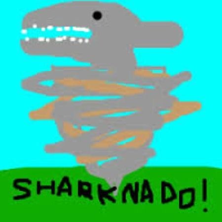 Image of Shark Ndo