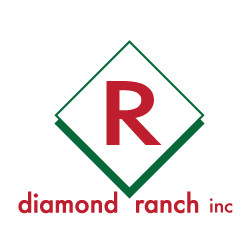 Contact Diamond Inc
