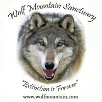 Contact Wolf Sanctuary