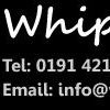 Whipped Creamdeliveries Email & Phone Number