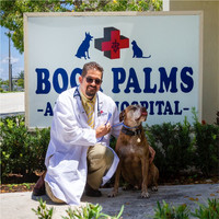 Boca Palms Animal Hospital Daniel Sosa