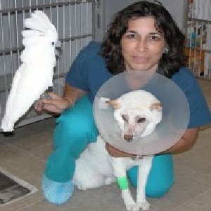 Susan Carastro | Animal Eye Specialty Clinic
