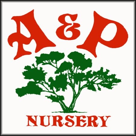Contact Ap Nursery