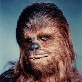 Image of Chewbacca Wookie