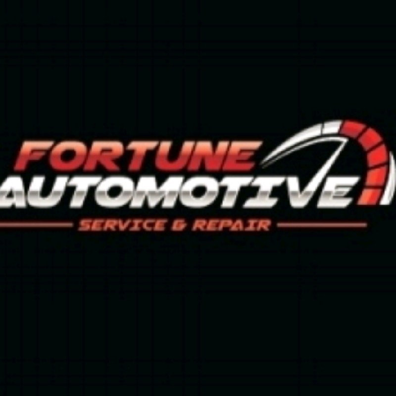 Fortune Automotive