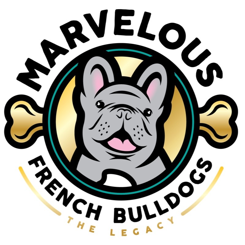 Contact Marvelous Bulldogs