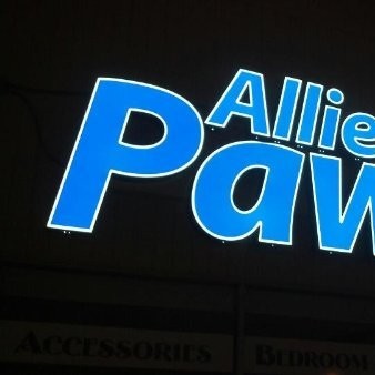 Contact Allied Pawn