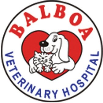 Contact Balboa Hospital