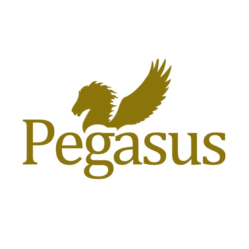 Image of Pegasus Publishers