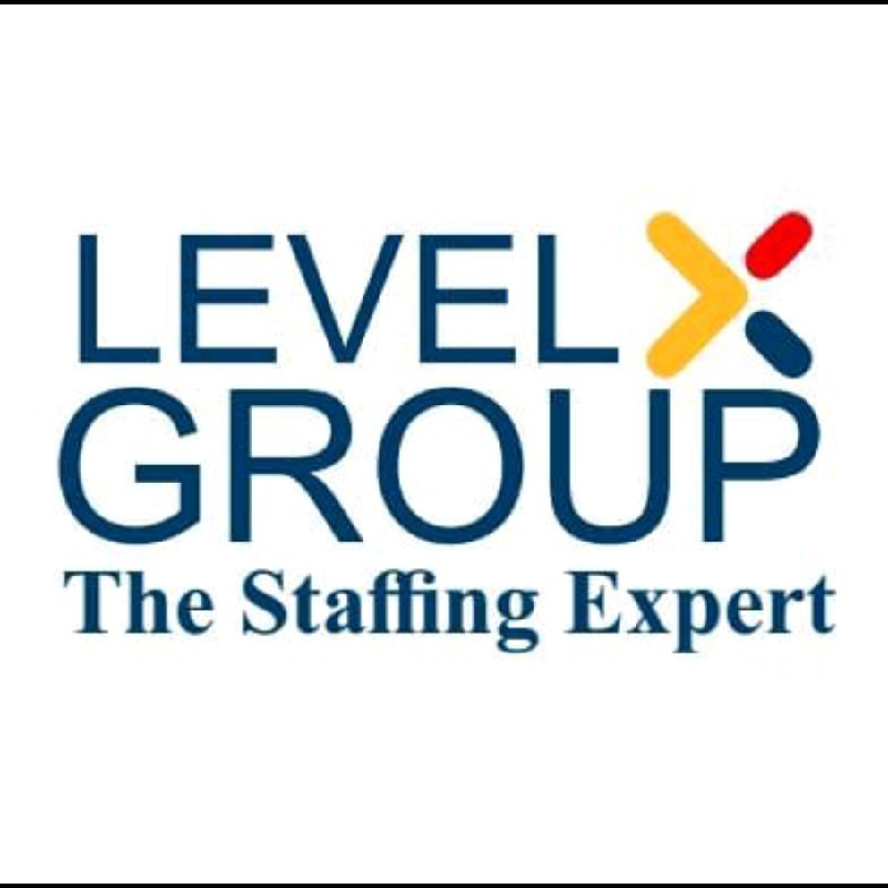 Level X Group Staffing Expert