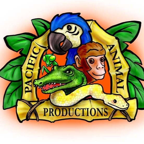 Pacific Productions Email & Phone Number