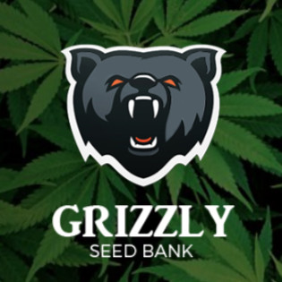 Contact Grizzly Bank