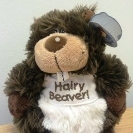 Image of Hairy Beaver