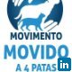 Movimento Patas Email & Phone Number