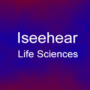 Iseehear Inc
