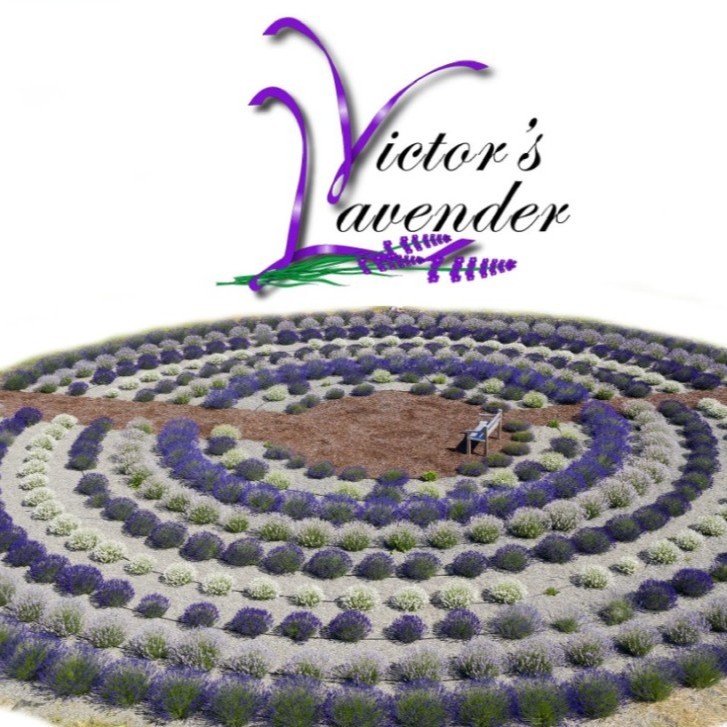 Contact Victors Lavender