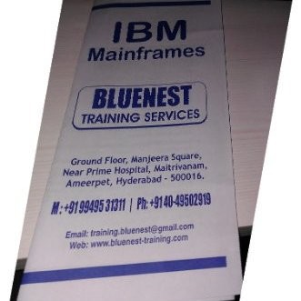 Bluenest Training Services