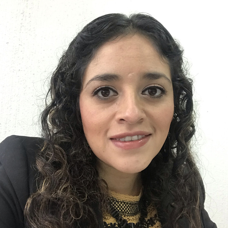 Sandra Guadalupe Davila Colin