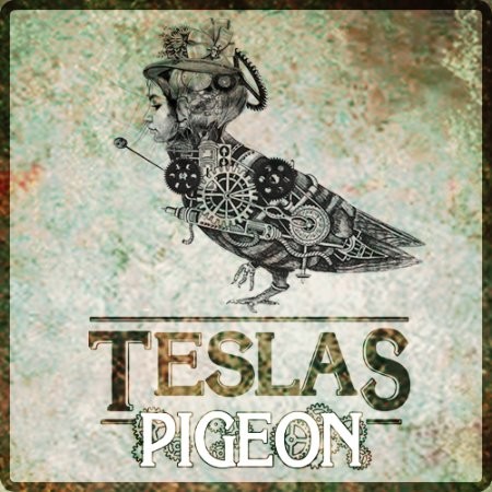 Contact Teslas Pigeon