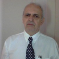 Vinicius Santos Guimaraes