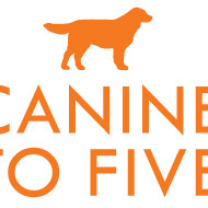 Canine To Five